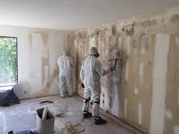 Best Forensic Mold Investigation  in Roland, IA